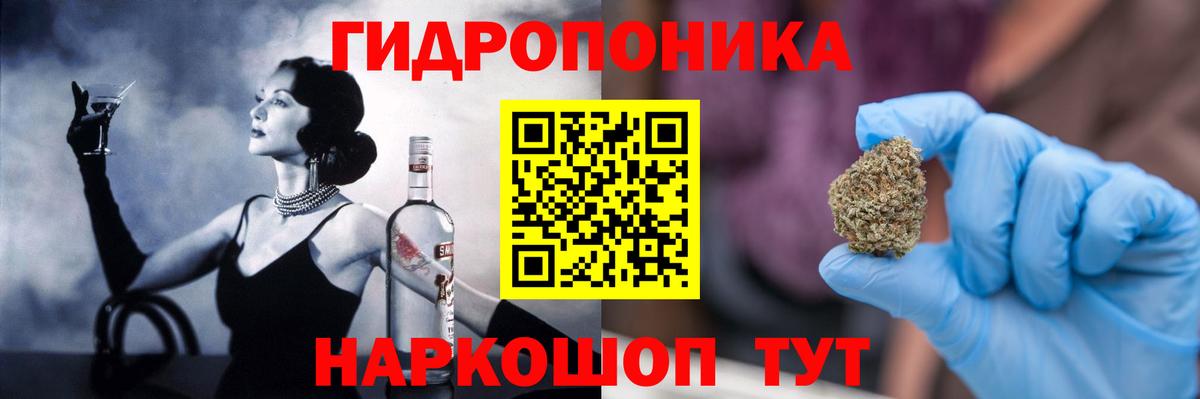 Бошки Шишки планчик Камышлов